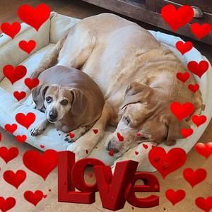 Meet your Posher, Alexandria